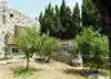 Photos de notre gîte et maison d'hote à vendre à Perpignan - 2022 (38).webp